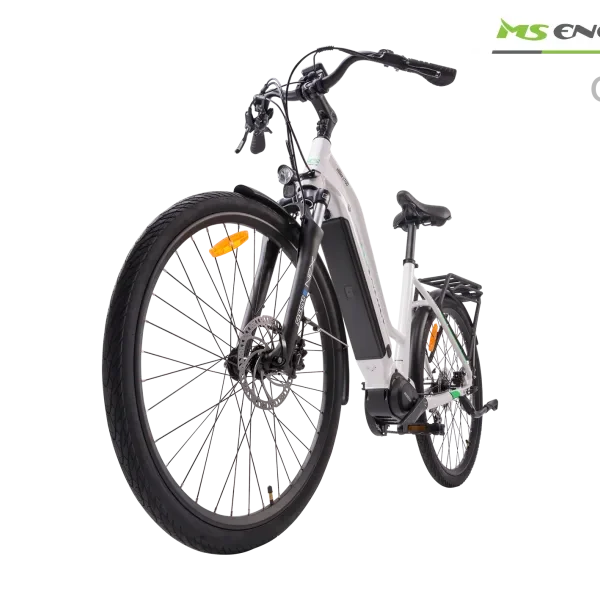 MS ENERGY eBike c100