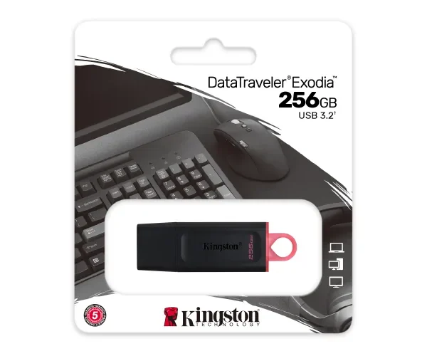 USB fleš 256GB Kingston DTX, 256GB