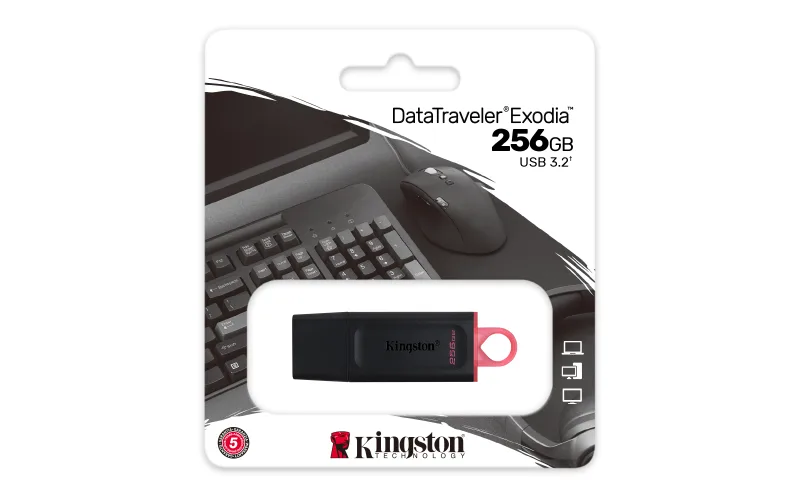 USB fleš 256GB Kingston DTX, 256GB