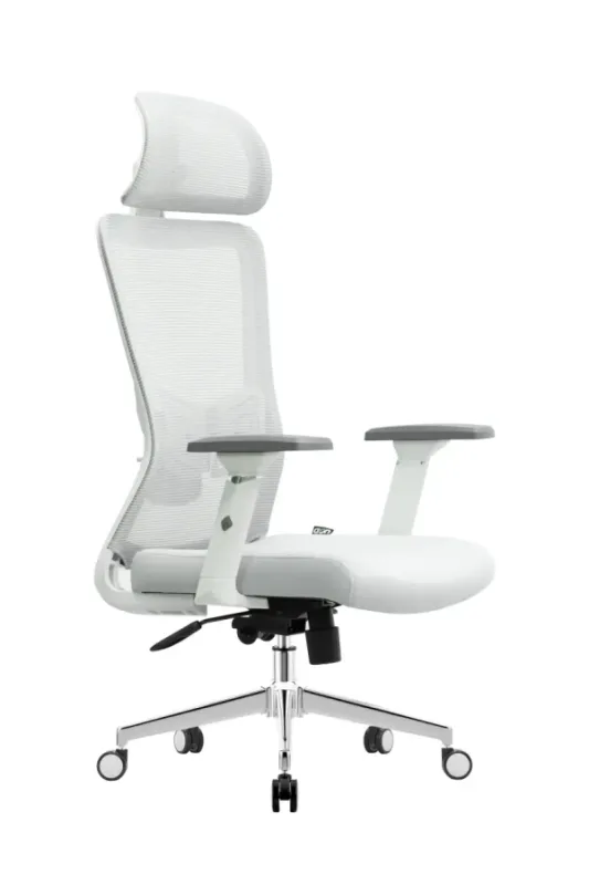 Ergonomska kancelarijska stolica UGD Silver Polare
