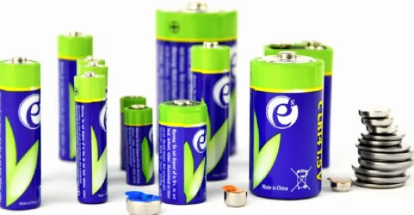 ENERGENIE CR1620 Lithium button cell 3V PAK2 (cena po kom.) (EG-BA-CR1620-01)