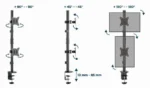 MA-D2-02 Gembird Podesivi vertikalni stoni drzac za dva monitora, tilt, 17-32 max.2x9kg - Slika 3