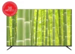 Zeus ZE55UST2 55" Smart LED televizor | 4K UHD - Slika 2