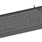 Gembird Tanka žièana osvetljena tastatura, crna, US raspored (KB-UML-04)