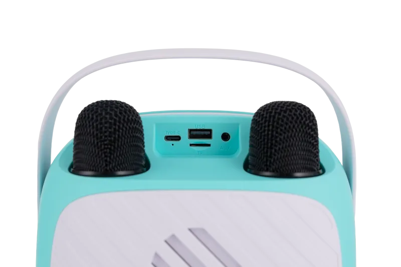 VIVAX VOX BT karaoke BS-20 Duo Green